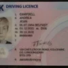 购买在 DVLA 注册的英国驾驶执照