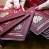 购买正版旅行护照